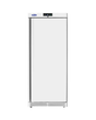 EBF60RW Armoire réfrigérée positive acier blanc 1 porte - 600L