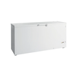 FR605 SL - Congélateur de crème glacée 1804 x 700 x 945
