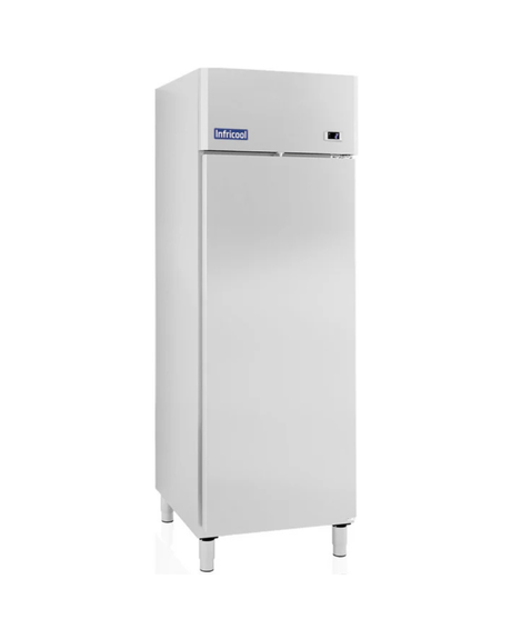 IAG701N Armoire réfrigérée négative 1 porte - 580L